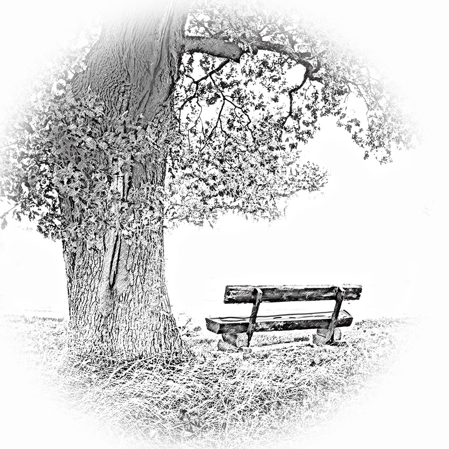 Baum mit Bank